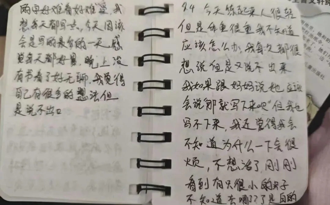 小佳在日记里说“不想活了”/受访者供图