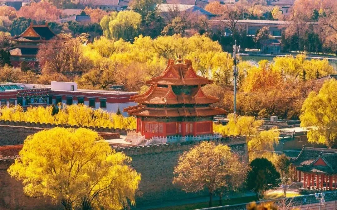 秋天的北京（图片来自网络）