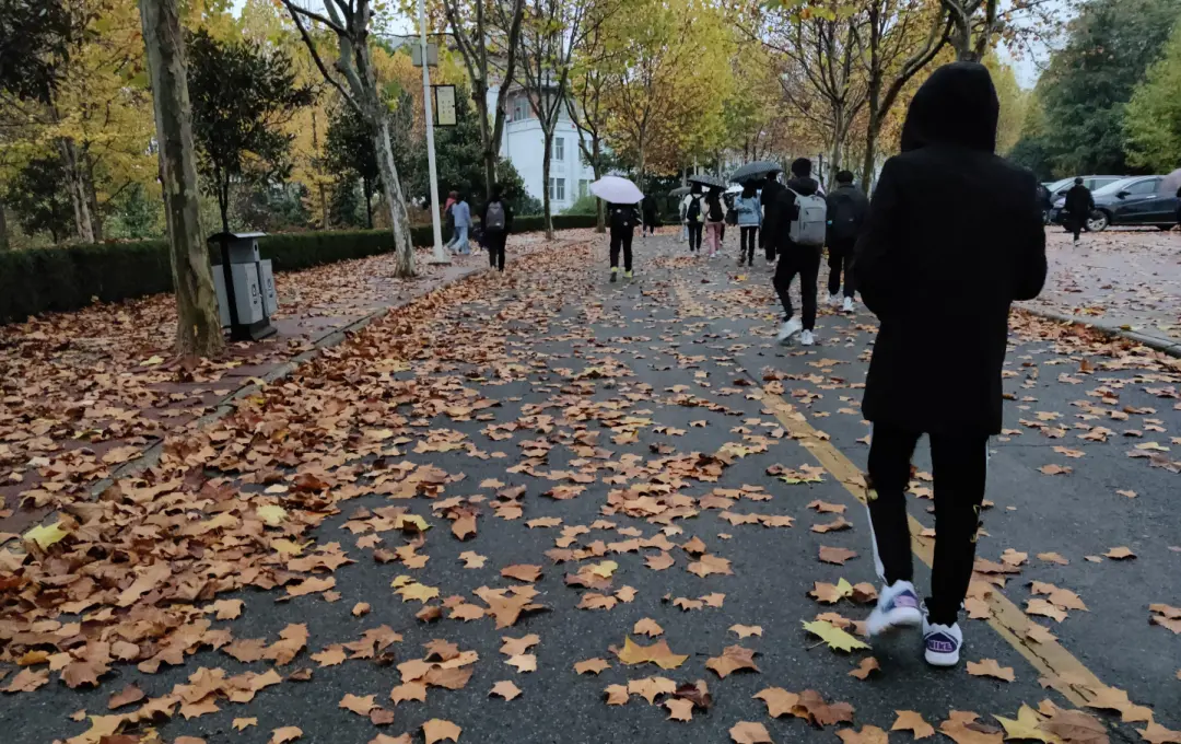招生量远超本科生，名校研究生难逃学历通胀
