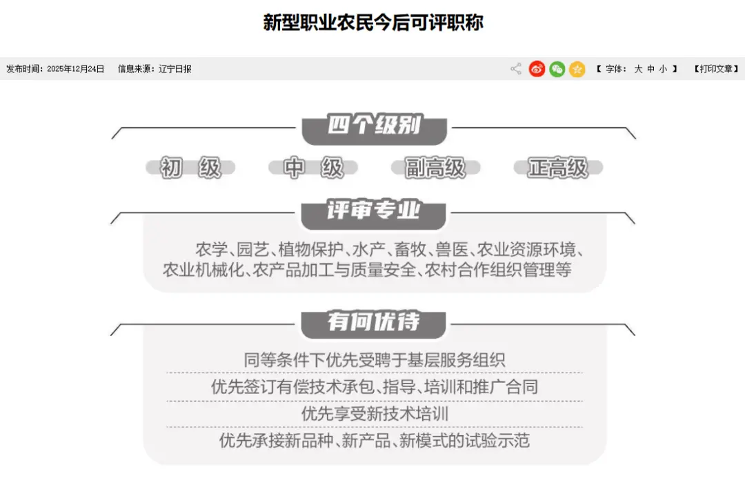 图片来源：辽宁省人民政府官网截图