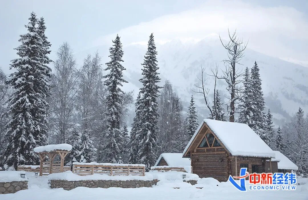 禾木某民宿 受访者供图