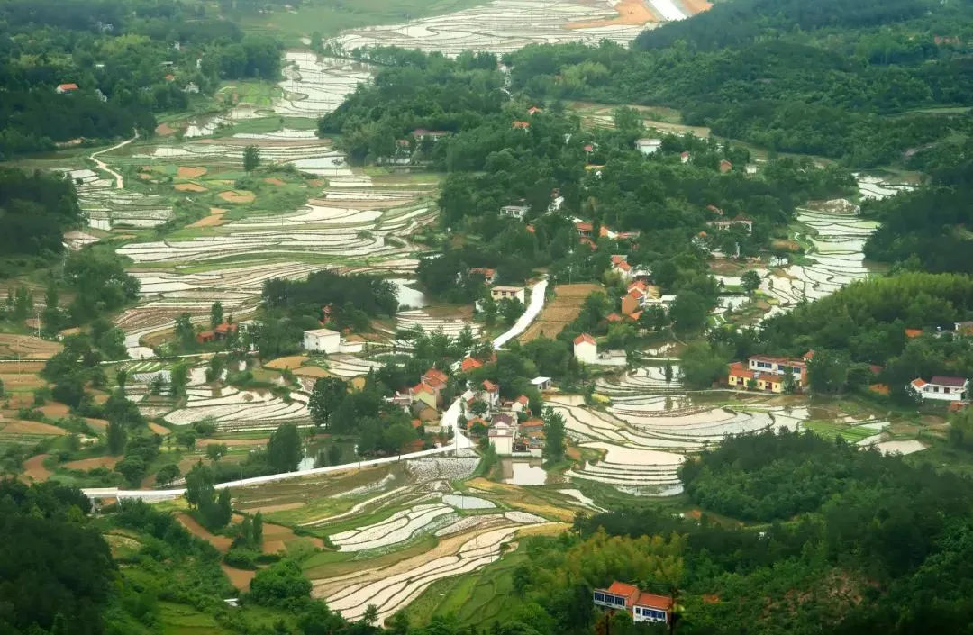 不是杭州!这座“山水茶都”是中国唯一“永久宜居城市”