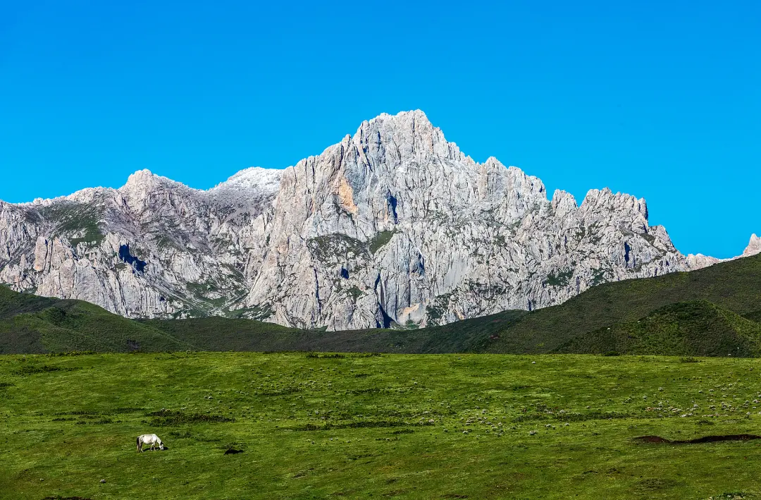 △夏日的祁连山。（图/视觉中国）