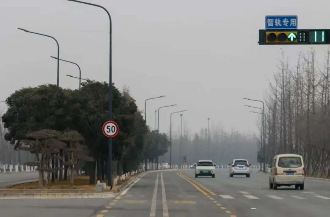 已拆除智轨围栏的路段 图/受访者供图