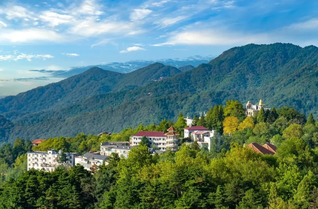 不是杭州!这座“山水茶都”是中国唯一“永久宜居城市”