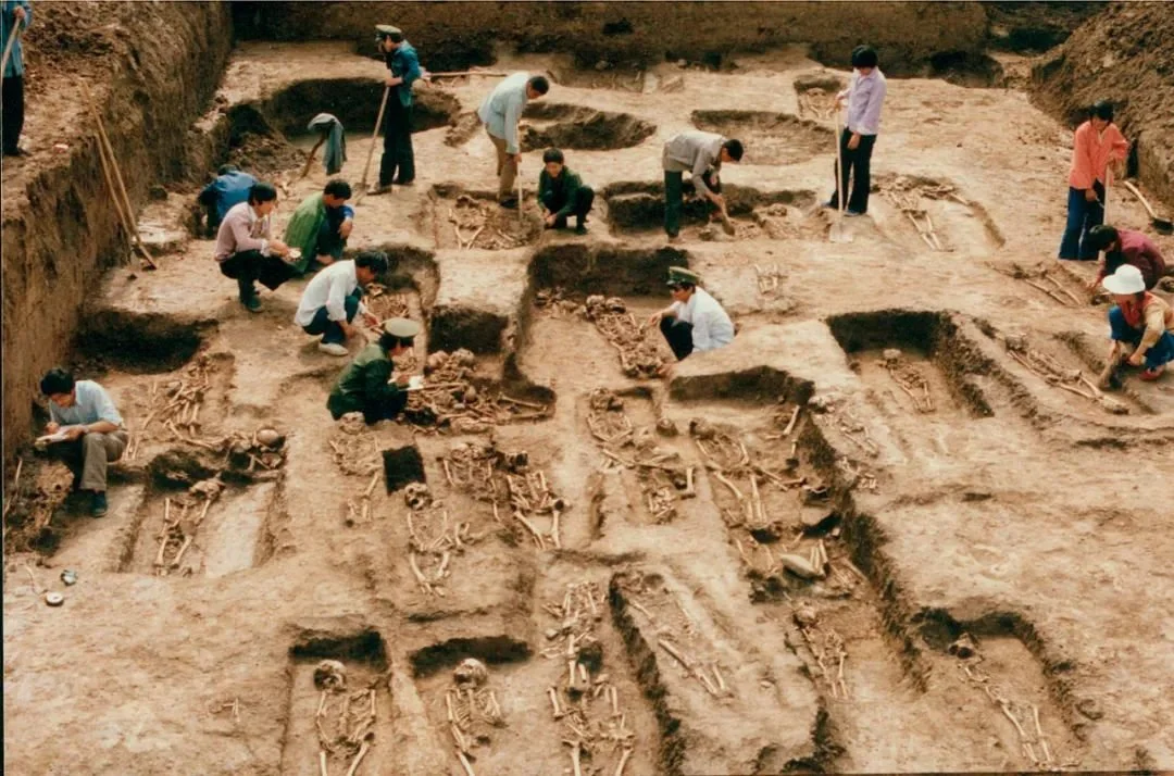 1987年春，贾湖遗址第六次考古发掘现场。 供图/ 张居中