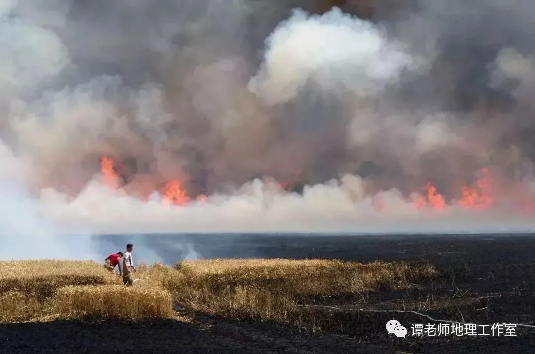 地球会不会有丧尸爆发的一天（玛雅人预言2012年世界末日） 第15张