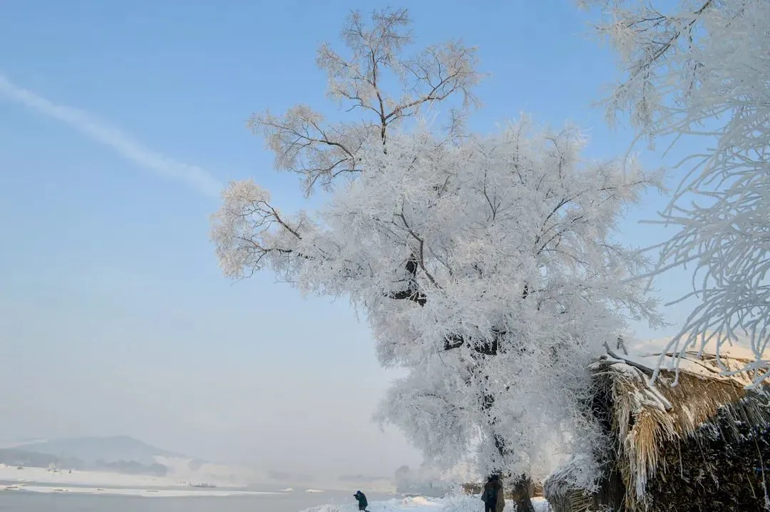 图片[63]-去一次就上瘾的雪国！极光圣诞全都有！-华闻时空