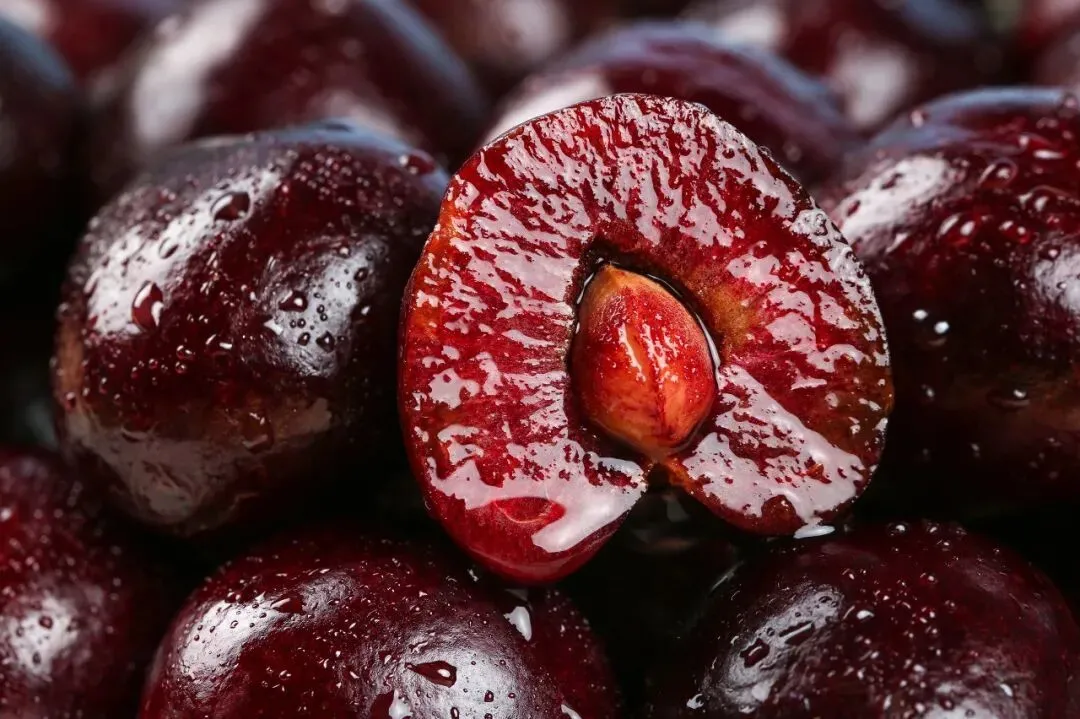 为何车厘子历经一个月到中国还不坏？买回家就坏了？