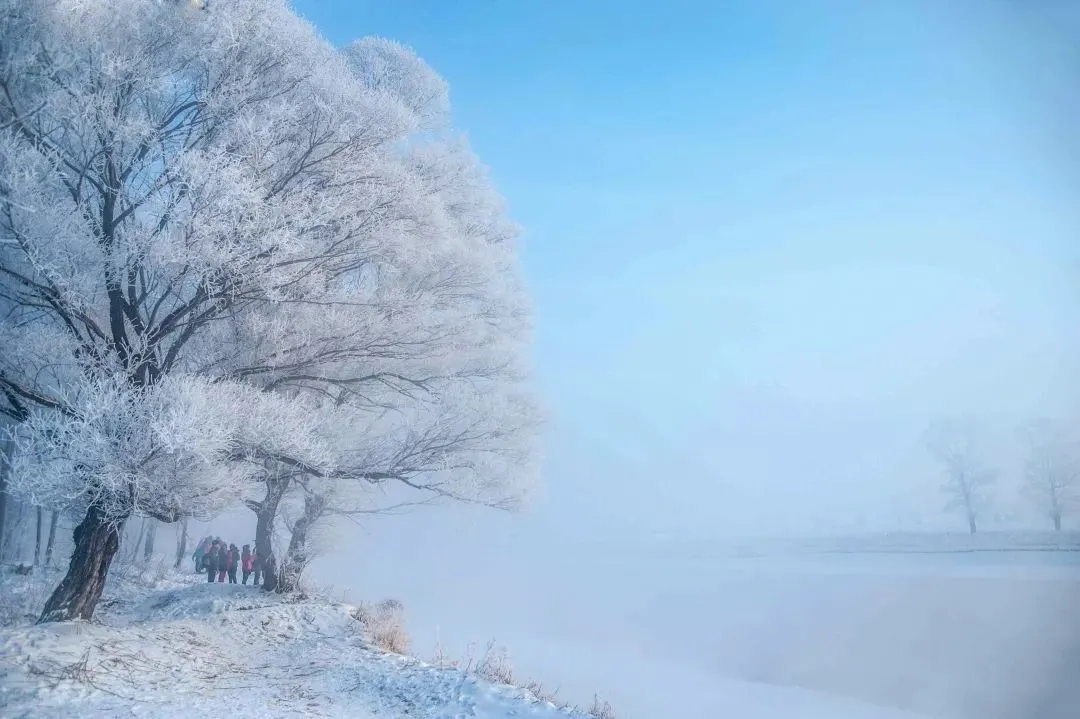 图片[60]-去一次就上瘾的雪国！极光圣诞全都有！-华闻时空