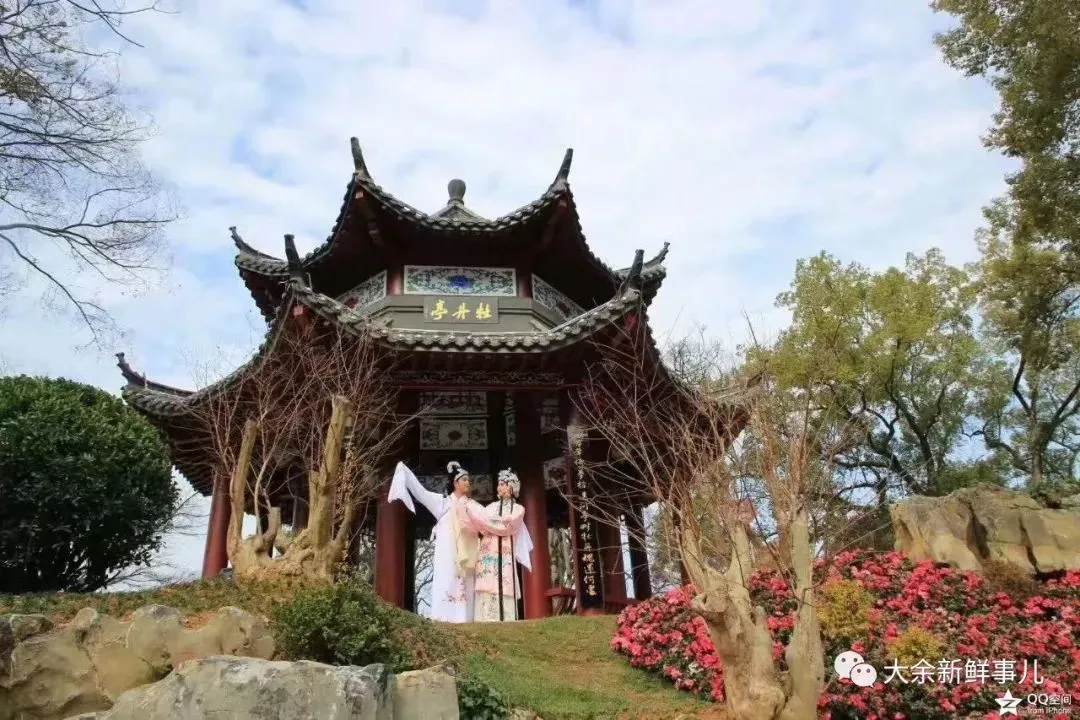 大余是哪个省的？已传疯，大余人都顶起！（大余县是哪个省的）