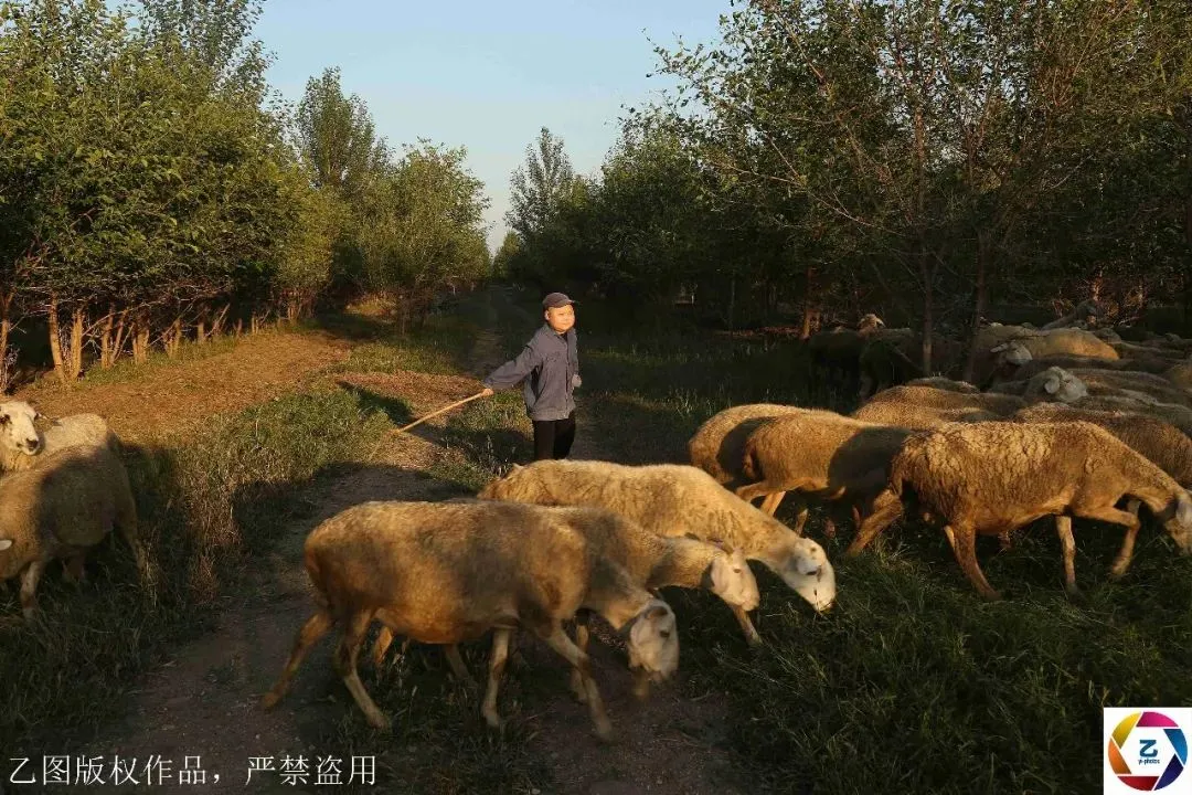 不看后悔（拜金女骗丈夫怀孕离婚了）拜金女抛弃穷小伙子多年后穷小伙子成为老公的老板 第3张