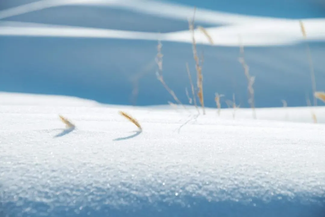 干货分享（下雪天的俏皮话经典）下雪天的俏皮话经典古风 第7张