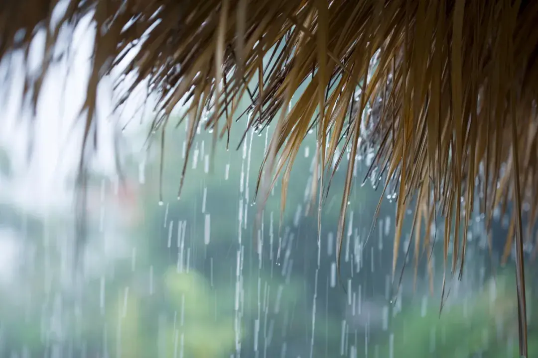 原创（赞美春雨的诗句）带雨的诗句 古诗 第4张