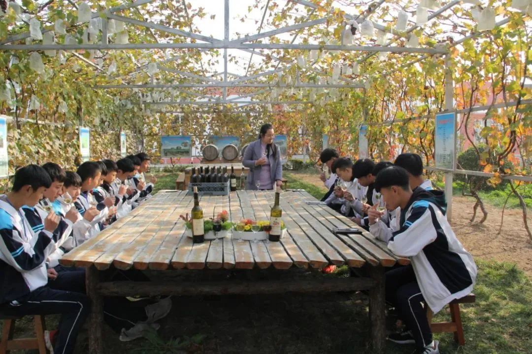 山东平度职教中心果酒实训教师王莹莹在葡萄酒文化长廊指导学生进行葡萄酒品鉴。