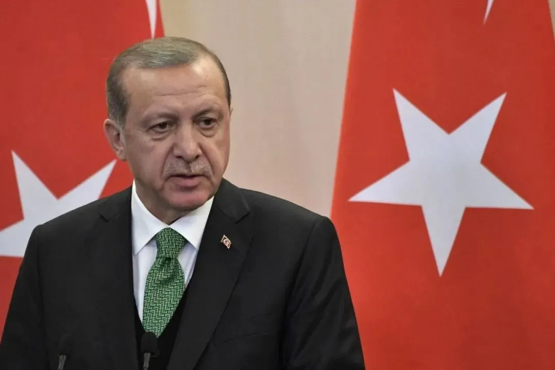 埃爾多安：土耳其如今對歐盟已沒有任何期待
