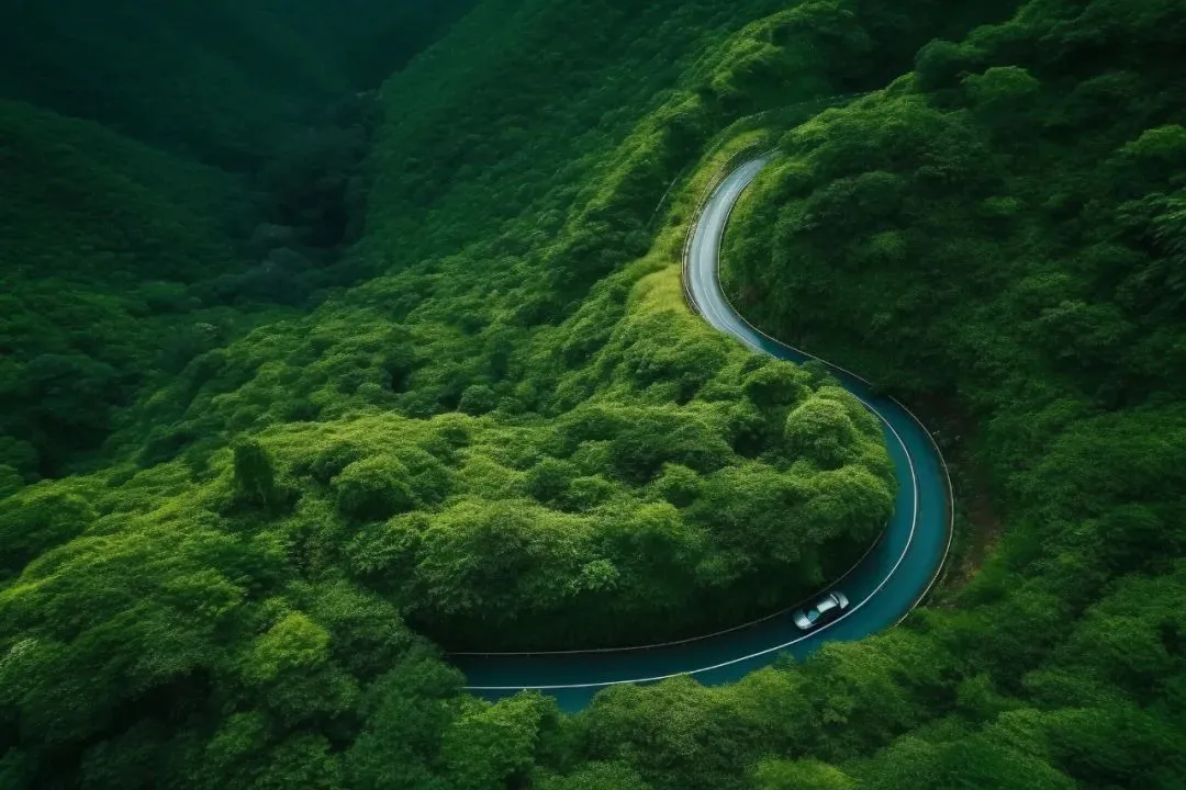 跨越千里“买毒”，到手的却是冰糖，还算运毒吗?