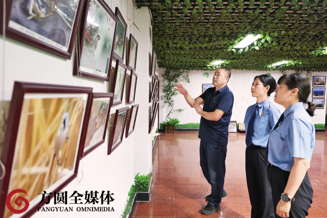 北京市密云区园林绿化局自然保护区管理和野生动植物保护中心主任张德怀（左一）在展厅向检察官介绍鸟类保护情况。