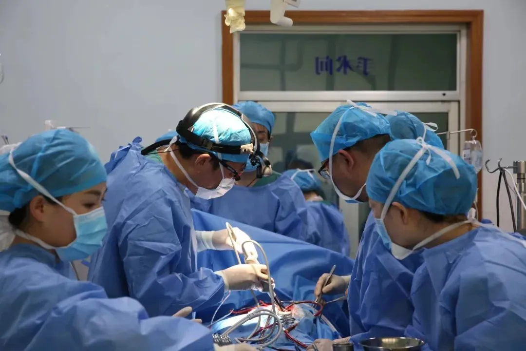 李巔遠團隊在進行豬-猴異種心髒移植手術