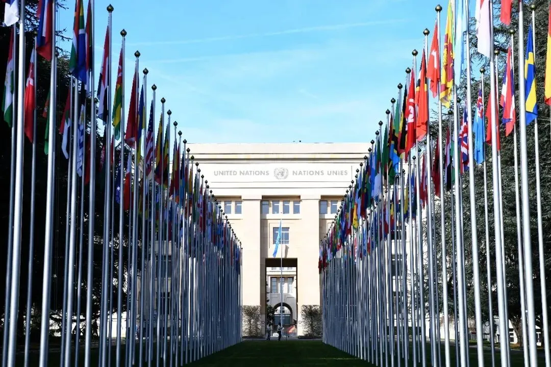 联合国总部大楼。