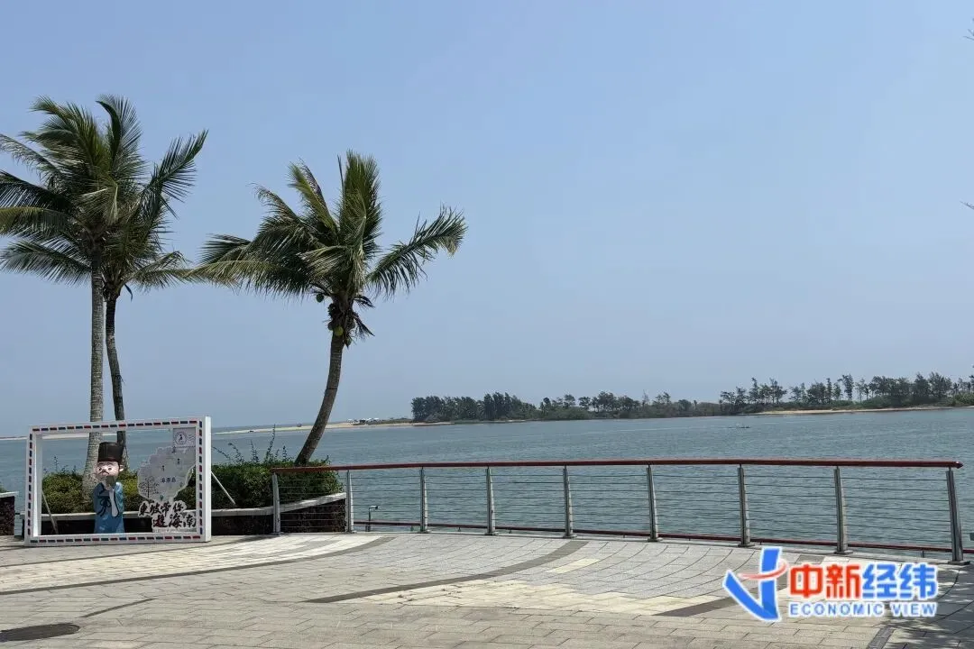 资料图 中新经纬摄