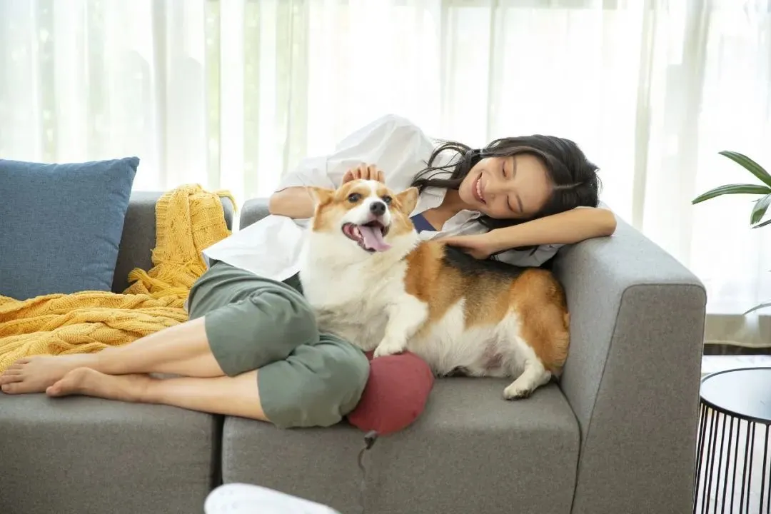 圖源：視覺中國
