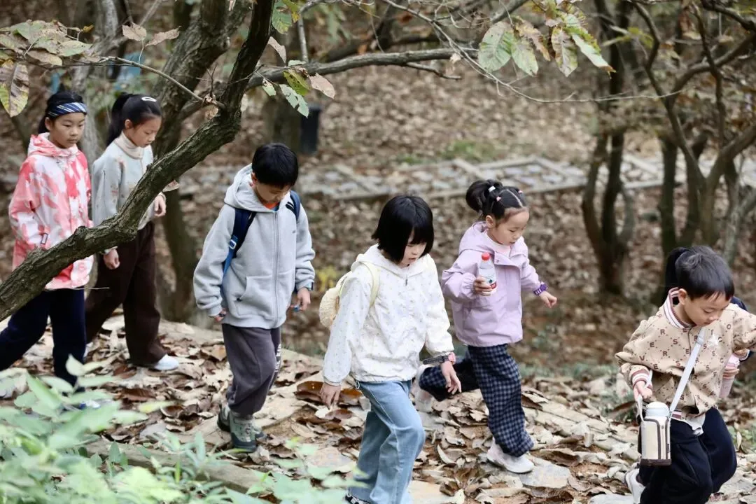 11月12日,湖州市德清县,一群趁着秋假走出课堂的中小学生来到象月湖度假谷开展研学活动 图源:潮新闻客户端