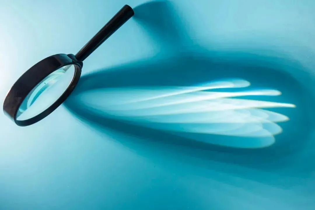 图源：“经济观察网”微信公众号