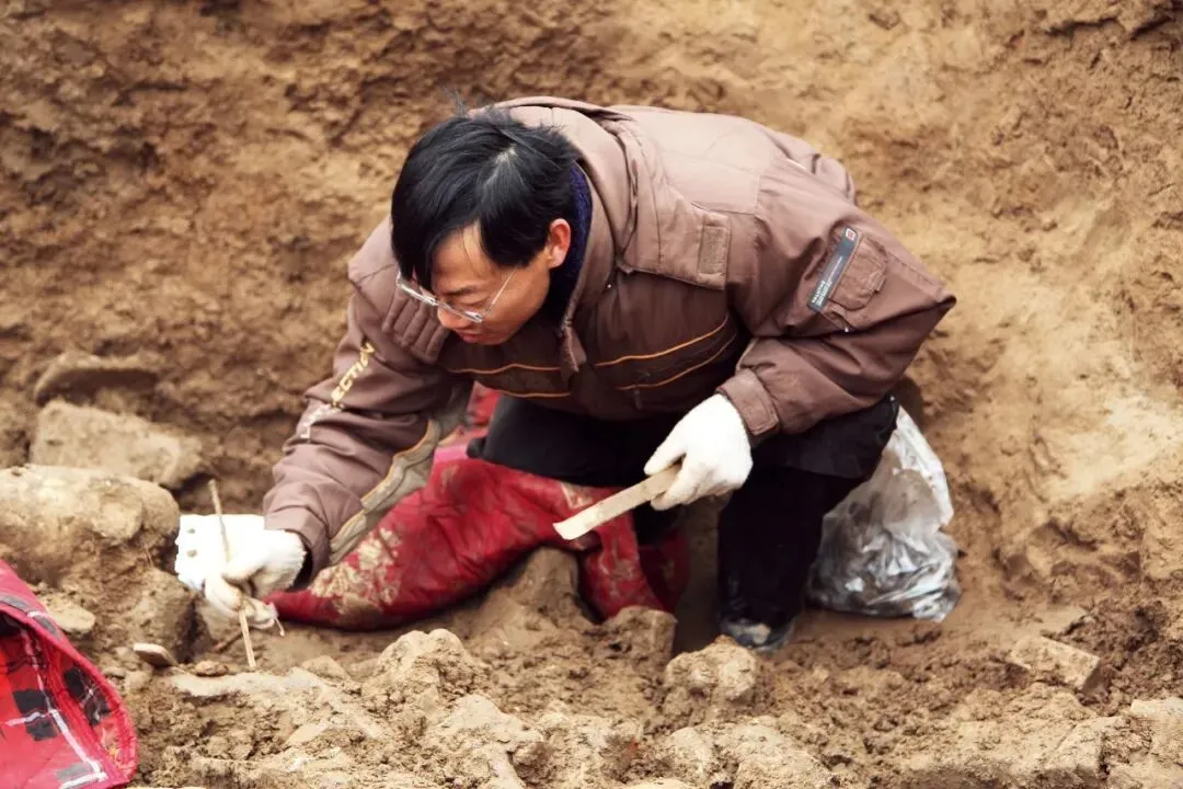 考古人員何利群在鄴城遺址東郭區(qū)佛教造像埋藏坑遺跡進行現(xiàn)場發(fā)掘。供圖/鄴城考古隊