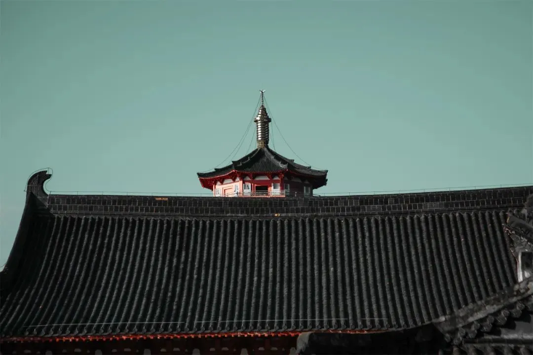▲藏