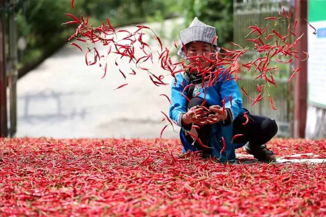 ������������������Ϊ���ϸ���Ʒ�ʵġ��Խ�ʯ��/ͼԴ���Ӿ��й�