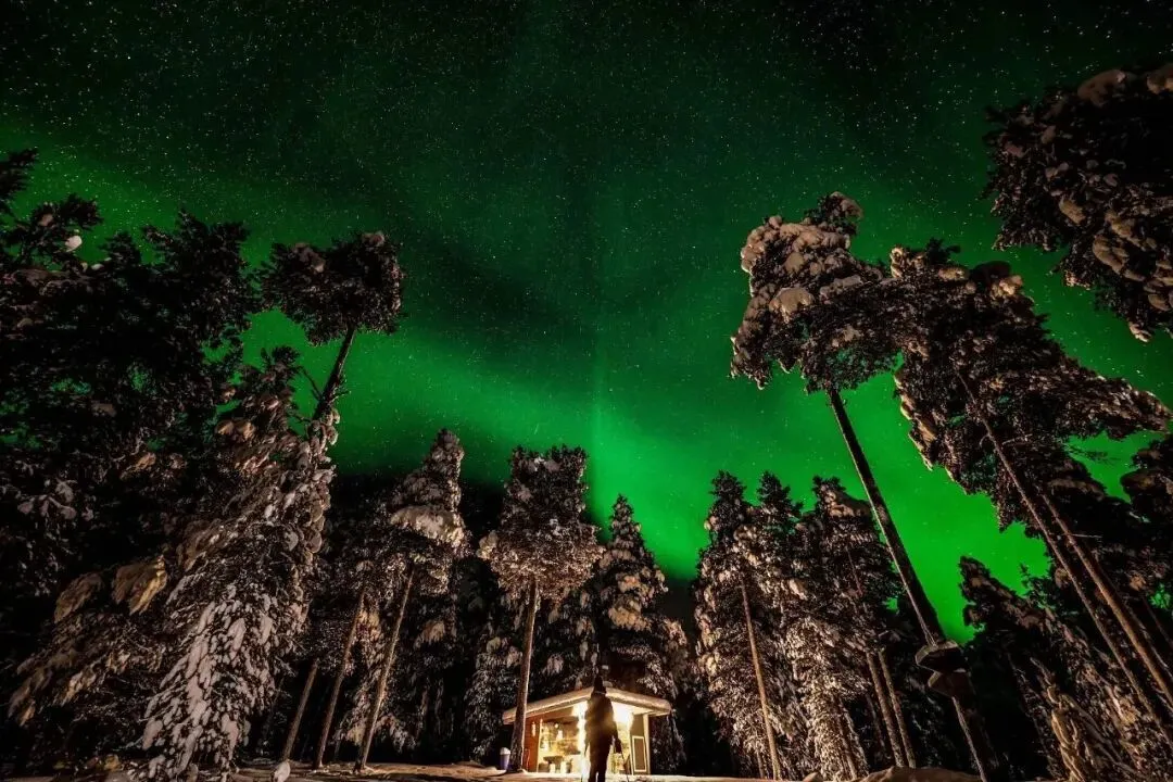 芬兰，森林里的极光景观。（图/视觉中国）