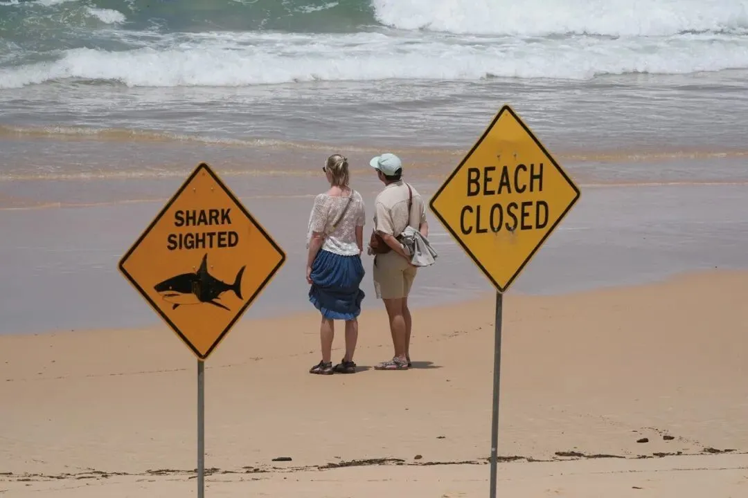 2026年1月20日，澳大利亚悉尼。一对夫妻站在沙滩上望向大海。（图/CFP）