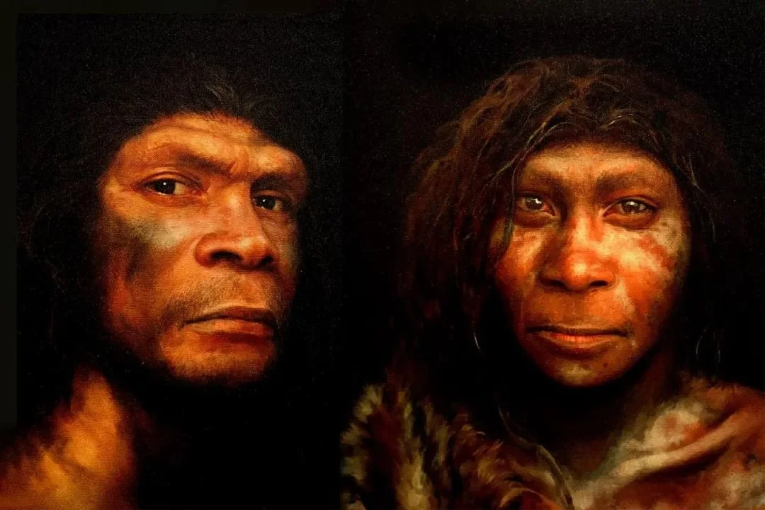 使用现代技术复原的尼安德特人男（左）女（右）图像。