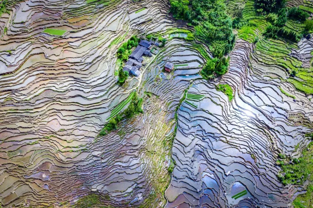 尤溪梯田