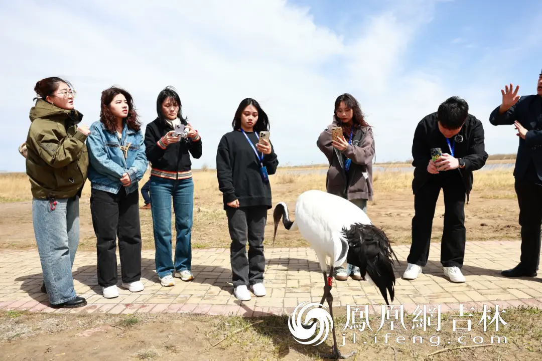 感受“鸟类天堂”莫莫格的魅力。