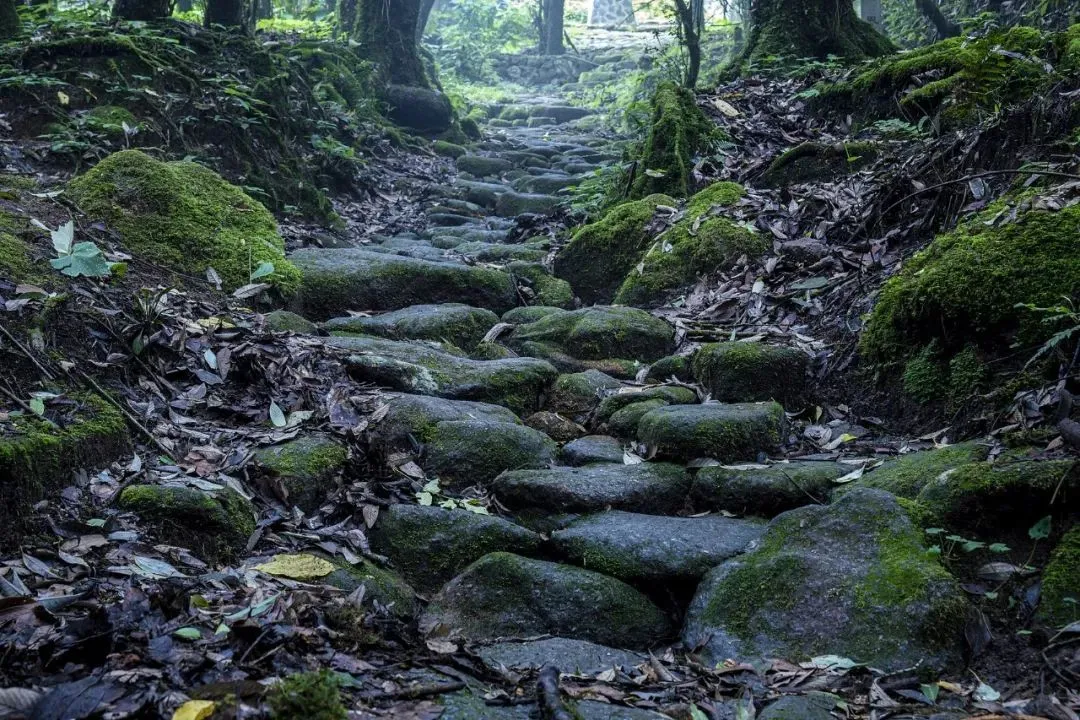 △玉溪市新平彝族傣族自治县，哀牢山内的茶马古道景区。（图/视觉中国）