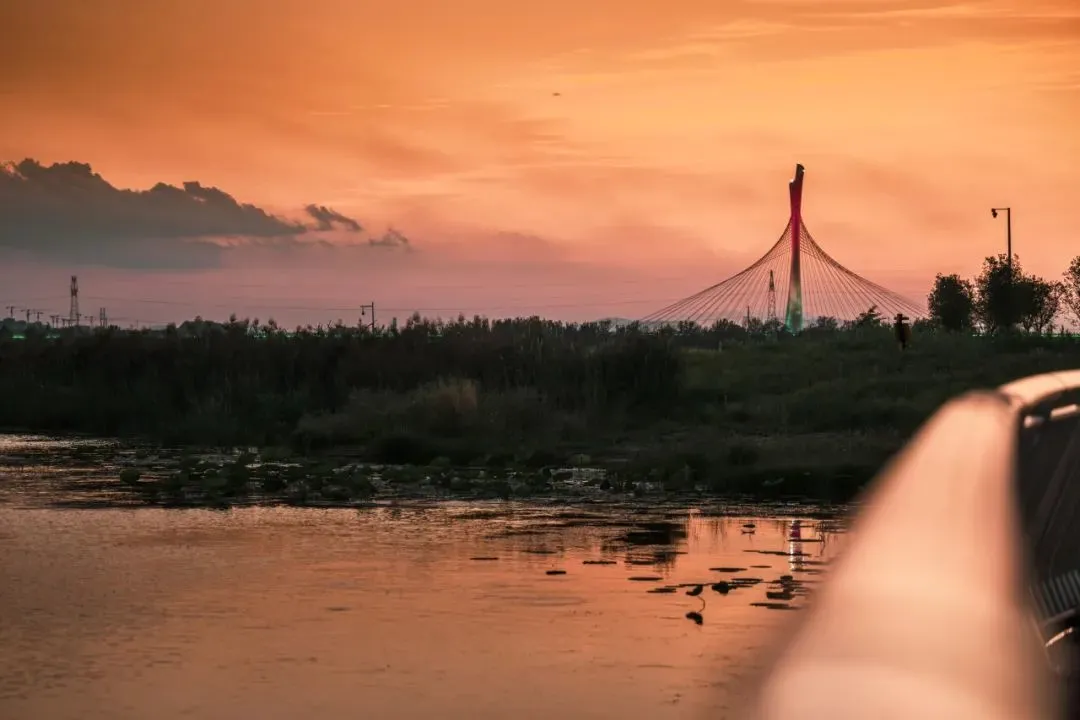 △在滹沱河边看夕阳，是独属于正定人的浪漫。