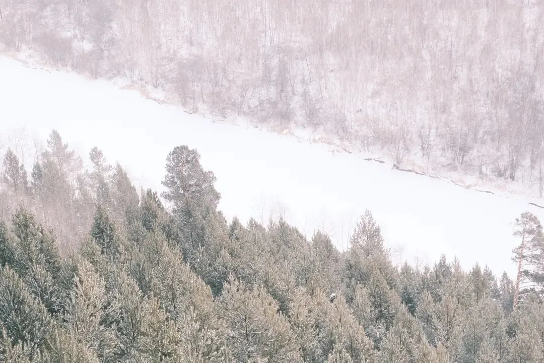 图片[37]-去一次就上瘾的雪国！极光圣诞全都有！-华闻时空