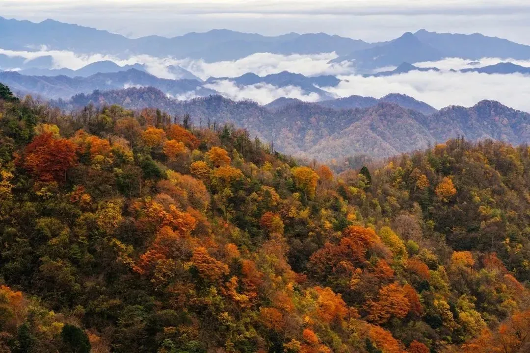 图片[30]-11月最佳旅行地榜单，远离人潮去旷野，向往的远方其实很近-华闻时空