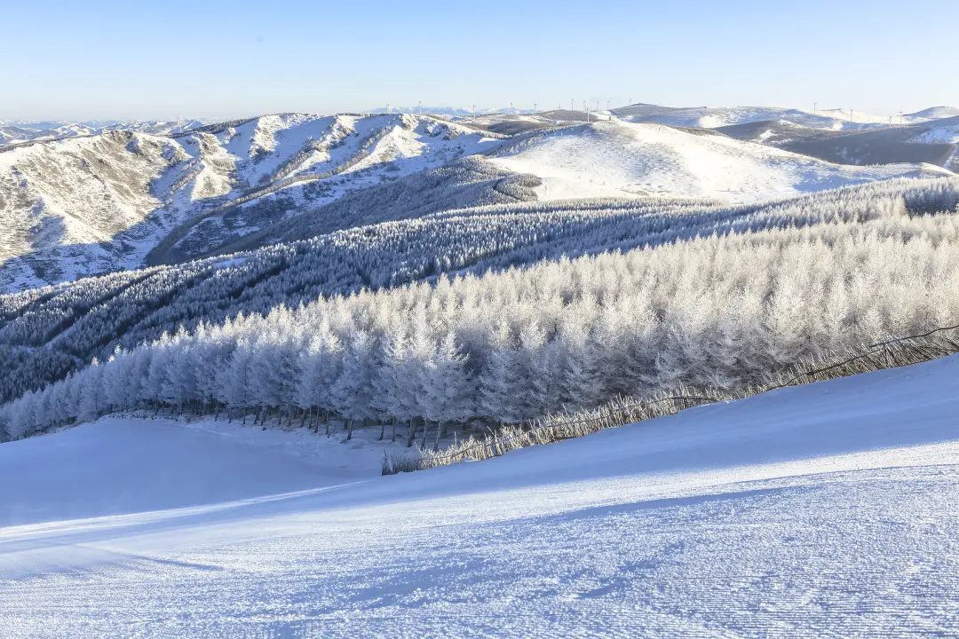 △张家口，崇礼，滑雪场。（图/视觉中国）