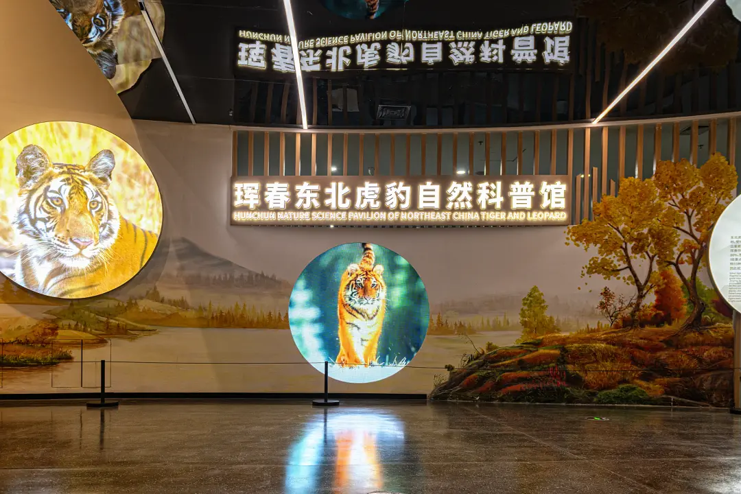 △珲春东北虎豹自然科普馆。（图/视觉中国）