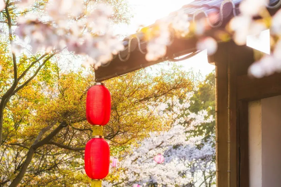 原创（赞美春雨的诗句）带雨的诗句 古诗 第6张