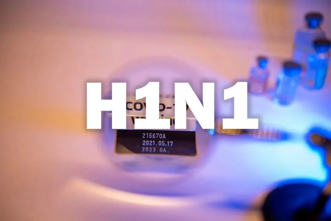 甲流H1N1 图/图虫创意