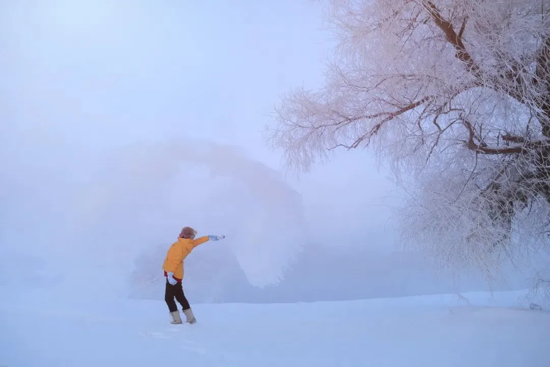 图片[40]-去一次就上瘾的雪国！极光圣诞全都有！-华闻时空