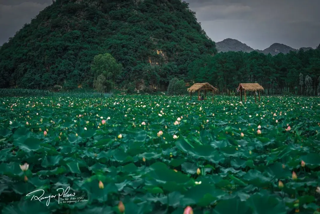 来自马蜂窝用户@Ranger旅行
