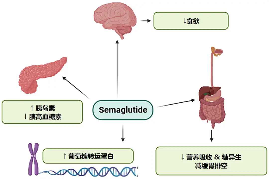 明星集体暴瘦,司美脸正在蔓延_健康_第5张_纵横网 明星集体暴瘦,司美脸正在蔓延_https://www.izongheng.net_健康_第5张