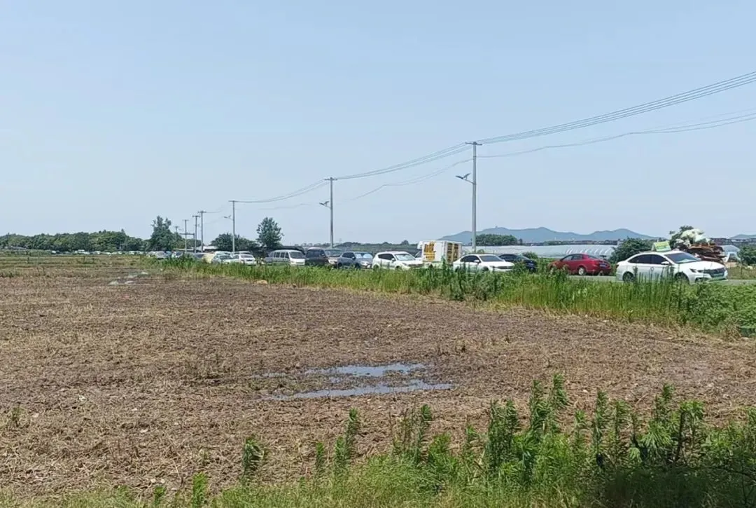 杭州上城區(qū)一村主干道路兩邊停滿了車。圖/受訪者提供
