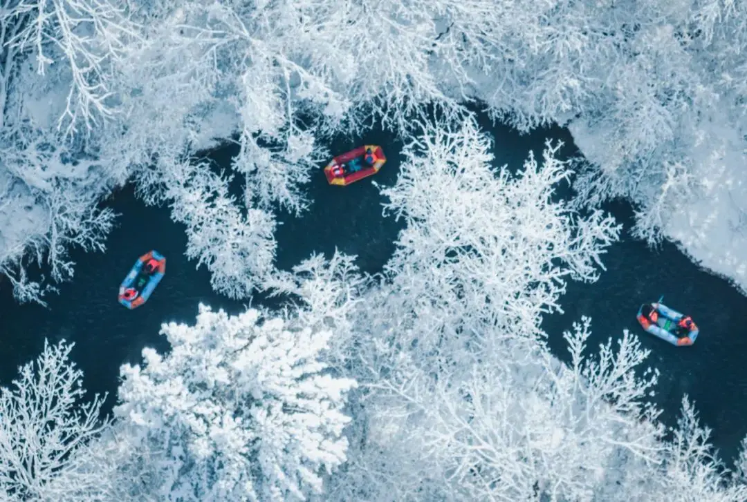 冰雪吉林引凤来〡配料表干净的“吉式”热情 新雪季肯定要体验