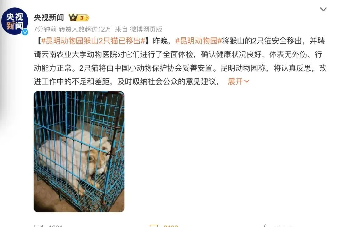 为什么对昆明动物园表示愤怒？